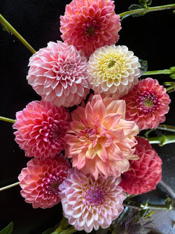 Spokane Flowers and Produce Delivery